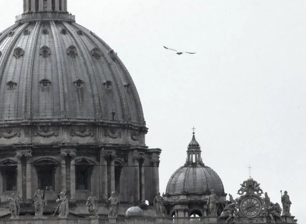 La cupola di San Pietro |  | Wikimedia commons