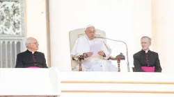 Papa Francesco durante l'udienza generale / Daniel Ibanez / ACI Group
