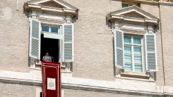 Papa Francesco durante una preghiera dell'Angelus / Vatican Media / ACI Group