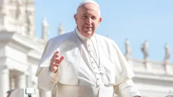 Papa Francesco durante una udienza generale  / Lucia Ballester / ACI Group