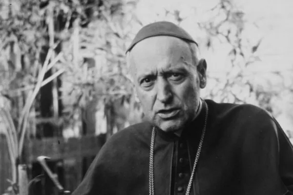 Una immagine del Cardinale Jozef Mindszenty / Terrorhaza.hu