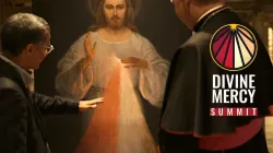 Una immagine della Divina Misericordia a Vilnius / FB - Divine Mercy Summit