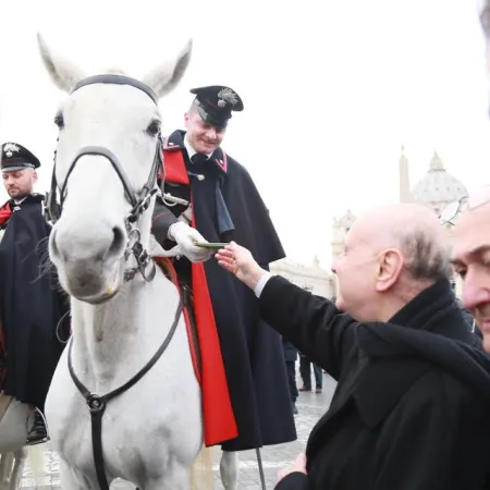 Il Cardinale Comastri benedice gli animali in Piazza San Pietro  |  | Daniel Ibanez, ACI Group