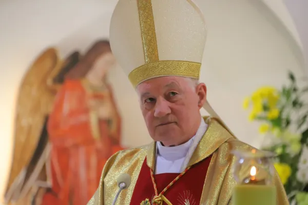 Il Cardinale Marc Ouellet durante una celebrazione a Minsk, durante la plenaria del CCEE / © Shchyhlinskaya Aliaksandra/ccee.eu 