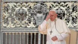 Papa Francesco durante l'udienza generale del 5 giugno 2019 / Daniel Ibanez / ACI Group