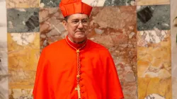 Il Cardinale Miguel Ángel Ayuso Guixot, Presidente del Dicastero per il Dialogo Interreligioso - Daniel Ibanez CNA / Il Cardinale Miguel Ángel Ayuso Guixot, Presidente del Dicastero per il Dialogo Interreligioso - Daniel Ibanez CNA