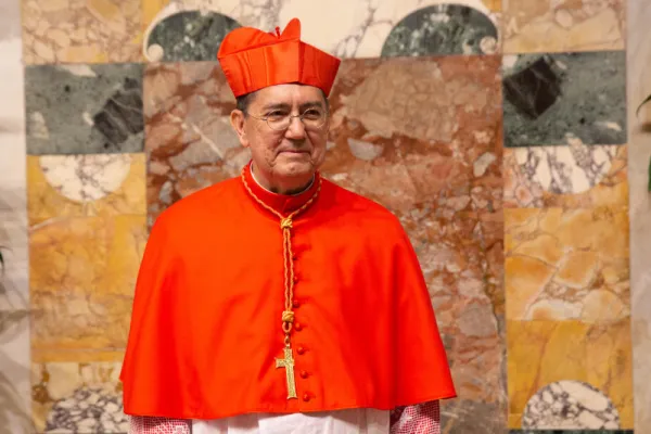 Il Cardinale Miguel Ángel Ayuso Guixot, Presidente del Dicastero per il Dialogo Interreligioso - Daniel Ibanez CNA / Il Cardinale Miguel Ángel Ayuso Guixot, Presidente del Dicastero per il Dialogo Interreligioso - Daniel Ibanez CNA