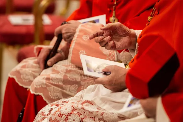 I Cardinali di Santa Romana Chiesa - Daniel Ibanez CNA