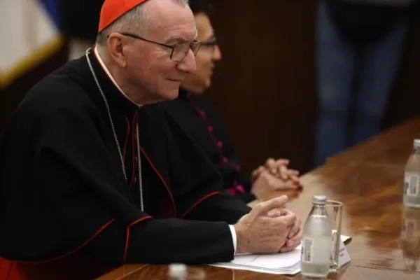 Il cardinale Pietro Parolin, Segretario di Stato vaticano / Vatican Media