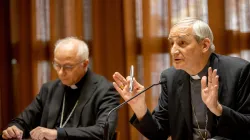 Il Cardinale Zuppi, Presidente della CEI - Daniel Ibanez CNA