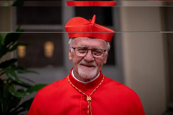 Il Cardinal Vicente Bokalic Iglic / Credit Daniel Ibanez/ EWTN Aci Group