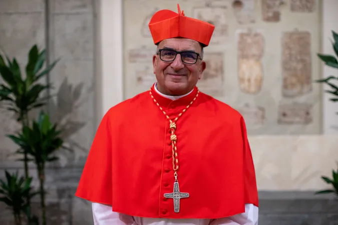 Il Cardinale Fernando Natalio Chomalí Garib |  | Daniel Ibanez CNA