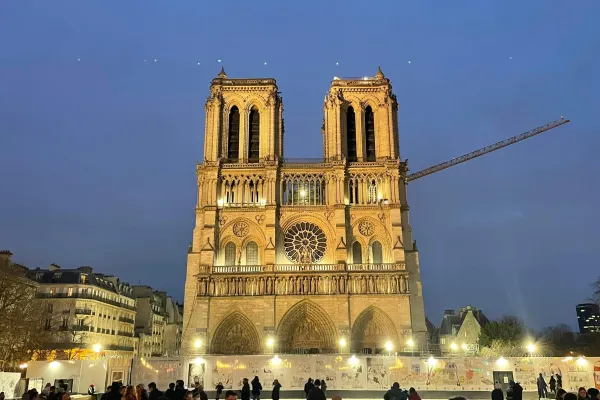 Una immagine di Notre Dame durante i lavori / FB