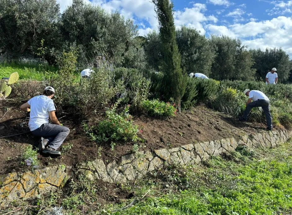 Alcune attività del Centro di Alta Formazione Laudato si'