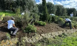 Alcune attività del Centro di Alta Formazione Laudato si' / Credit Centro di Alta Formazione Laudato si'