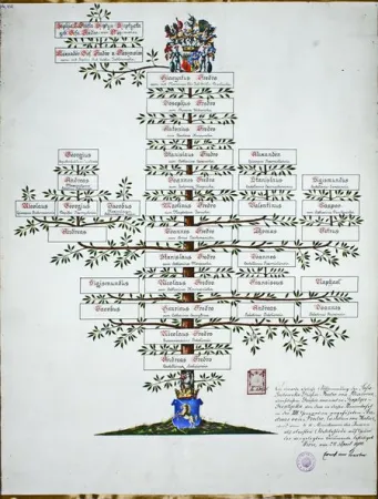 Albero genealogico Sheptytsky | L'albero genealogico del metropolita Andryi Sheptytsky | https://day.kyiv.ua/ru/news/240619-naydeny-genealogicheskie-tablicy-semi-sheptickih-kotorye-schitalis-unichtozhennymi