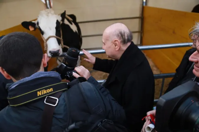 Il Cardinale Comastri benedice gli animali |  | Daniel Ibanez, ACI Group