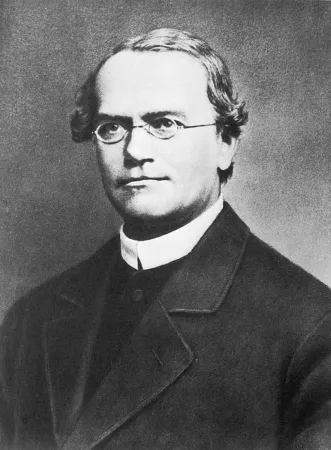 P. Gregor Mendel |  | PD