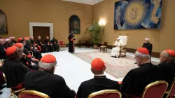 Papa Francesco incontra i partecipanti alla Plenaria della Congregazione del Culto Divino e della Disciplina dei Sacramenti, Auletta Paolo VI, 14 febbraio 2019 / Vatican Media / ACI Group