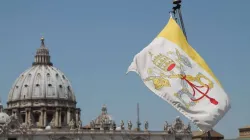 Veduta della Basilica di San Pietro  / Bohumil Petrik / ACI Group