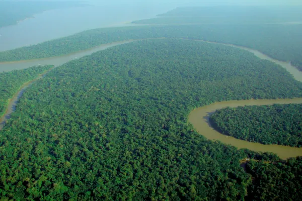 Veduta Aerea della Foresta Amazzonica / Wikimedia Commons