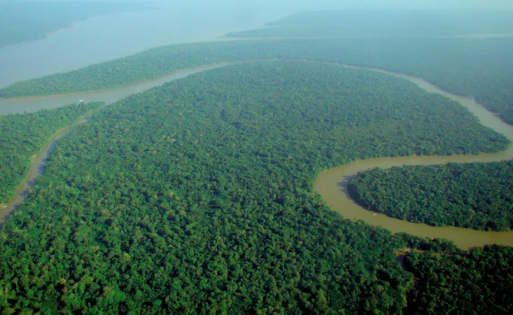 Foresta Amazzonica | Veduta Aerea della Foresta Amazzonica | Wikimedia Commons