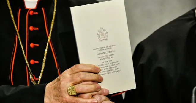 Amoris Laetitia | L'Amoris Laetitia, l'esortazione apostolica post-sinodale di Papa Francesco | CNA Archive