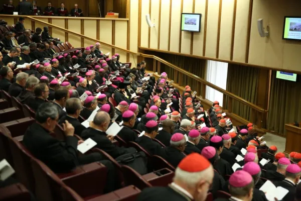 Aula del Sinodo / CNA