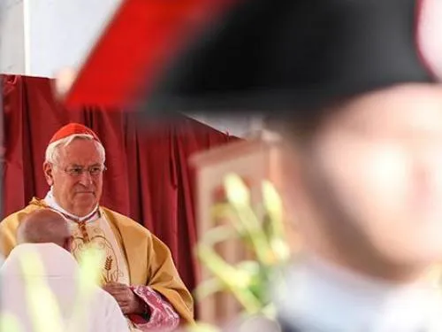 Cardinale Bassetti |  | San Francesco Patrono d'Italia