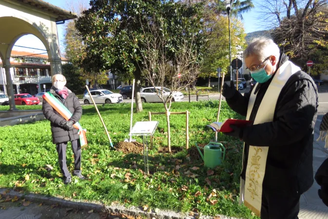 Il Vescovo di Prato benedice l'albero |  | Diocesi di Prato