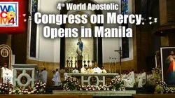 L'apertura del 4 Congresso Internazionale della Misericordia  / Twitter @divinemercy