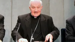 Il Cardinal Ouellet durante la conferenza stampa di presentazione de "I testimoni del risorto" / Alexey Gotovsky / ACI Group