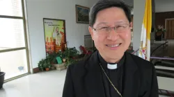 Il Cardinale Tagle, Pro-Prefetto del Dicastero per l’Evangelizzazione - CNA