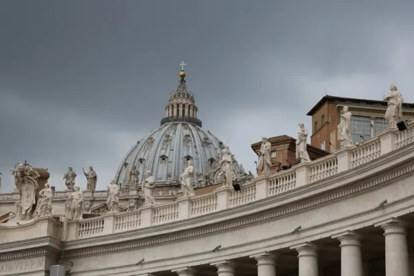 Basilica di San Pietro / PD