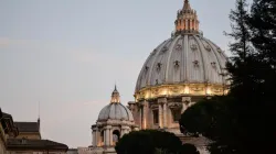 La cupola di San Pietro vista dai Giardini Vaticani / CNA