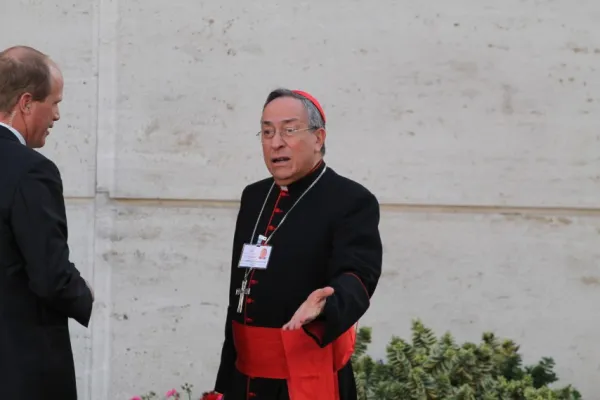 Il cardinale Oscar Rodriguez Maradiaga / Bohumil Petrik/CNA