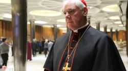 Il cardinale Müller / Bohumil Petrik/CNA