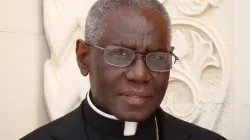 Cardinal Robert Sarah, Prefetto della Congregazione per il Culto e la Disciplina dei Sacramenti, 25 novembre 2014 / Paul Badde / Catholic News Agency