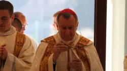 Il Cardinale Parolin mentre celebra una Messa  / Bohumil Petrik / CNA 