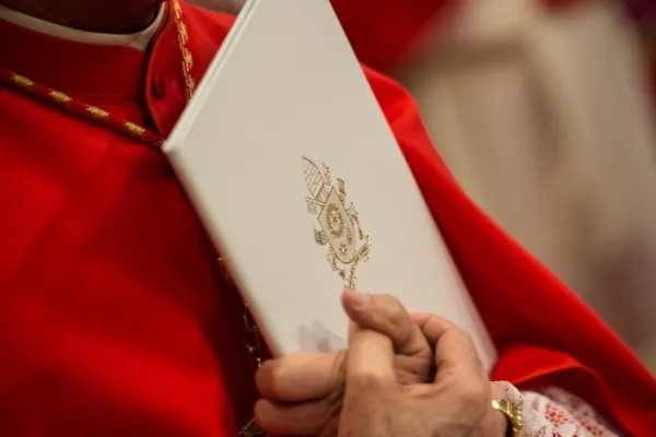 Proclamazione dell'Anno Santo, Basilica Vaticana, 13 marzo 2015 / Elise Harris / Catholic News Agency