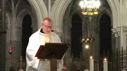 Il Cardinale Pietro Parolin celebra Messa nella Cattedrale dell'Immacolata Concezione, a Lourdes, durante le Giornate di San Francesco di Sales, 26 gennaio 2018 / Vatican News / Vatican Media