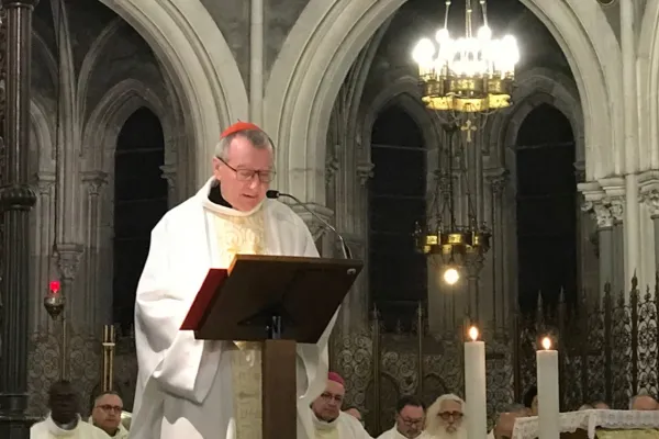 Il Cardinale Pietro Parolin celebra Messa nella Cattedrale dell'Immacolata Concezione, a Lourdes, durante le Giornate di San Francesco di Sales, 26 gennaio 2018 / Vatican News / Vatican Media