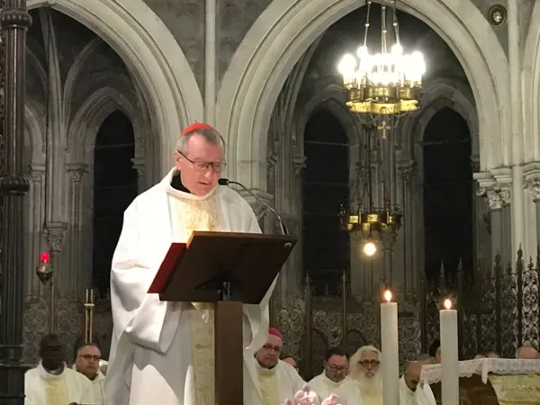 Cardinale Parolin a Lourdes | Il Cardinale Pietro Parolin celebra Messa nella Cattedrale dell'Immacolata Concezione, a Lourdes, durante le Giornate di San Francesco di Sales, 26 gennaio 2018 | Vatican News / Vatican Media