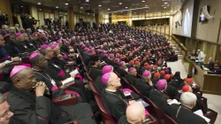 Una sessione di un Sinodo dei vescovi / synod.va