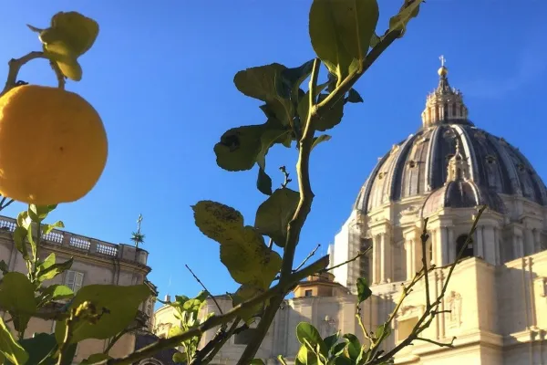 Una veduta della Basilica di San Pietro / Vatican Media