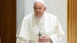 Papa Francesco durante una udienza / Vatican Media