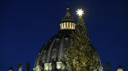 L'albero di Natale in Piazza San Pietro / Credit Vatican Media