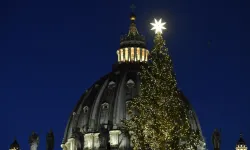 L'albero di Natale in Piazza San Pietro / Credit Vatican Media