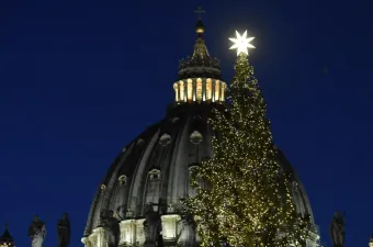 L'albero di Natale in Piazza San Pietro / Credit Vatican Media