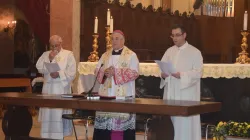 Diocesi di Mileto 